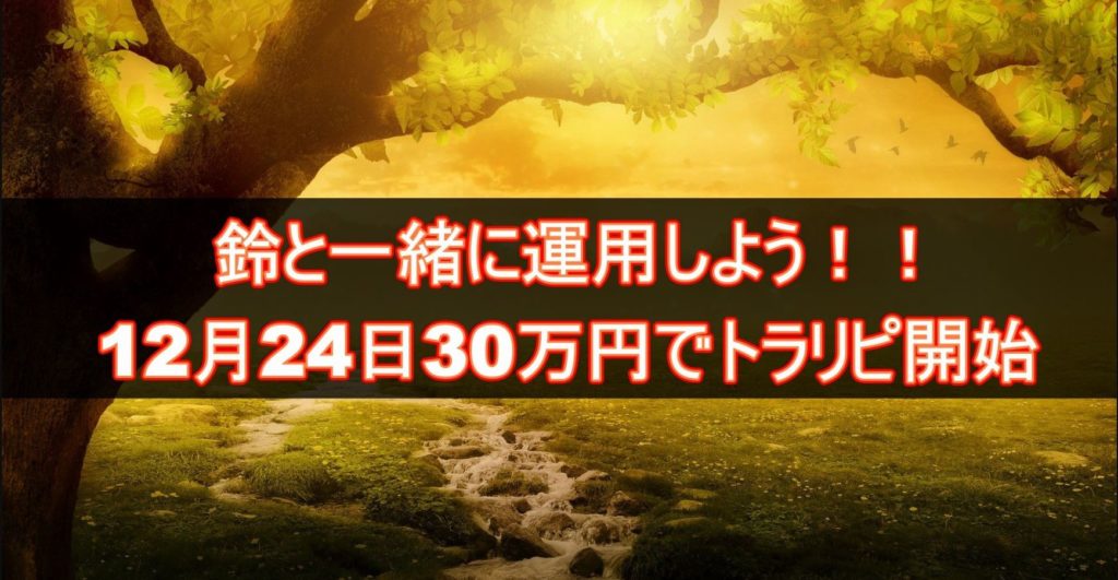 トラリピ実況中継 4 28週報告 30万円トラリピ企画に参加中 投資初心者がスーパーブロガー鈴さんの設定を真似してみました ニュートーーキョー